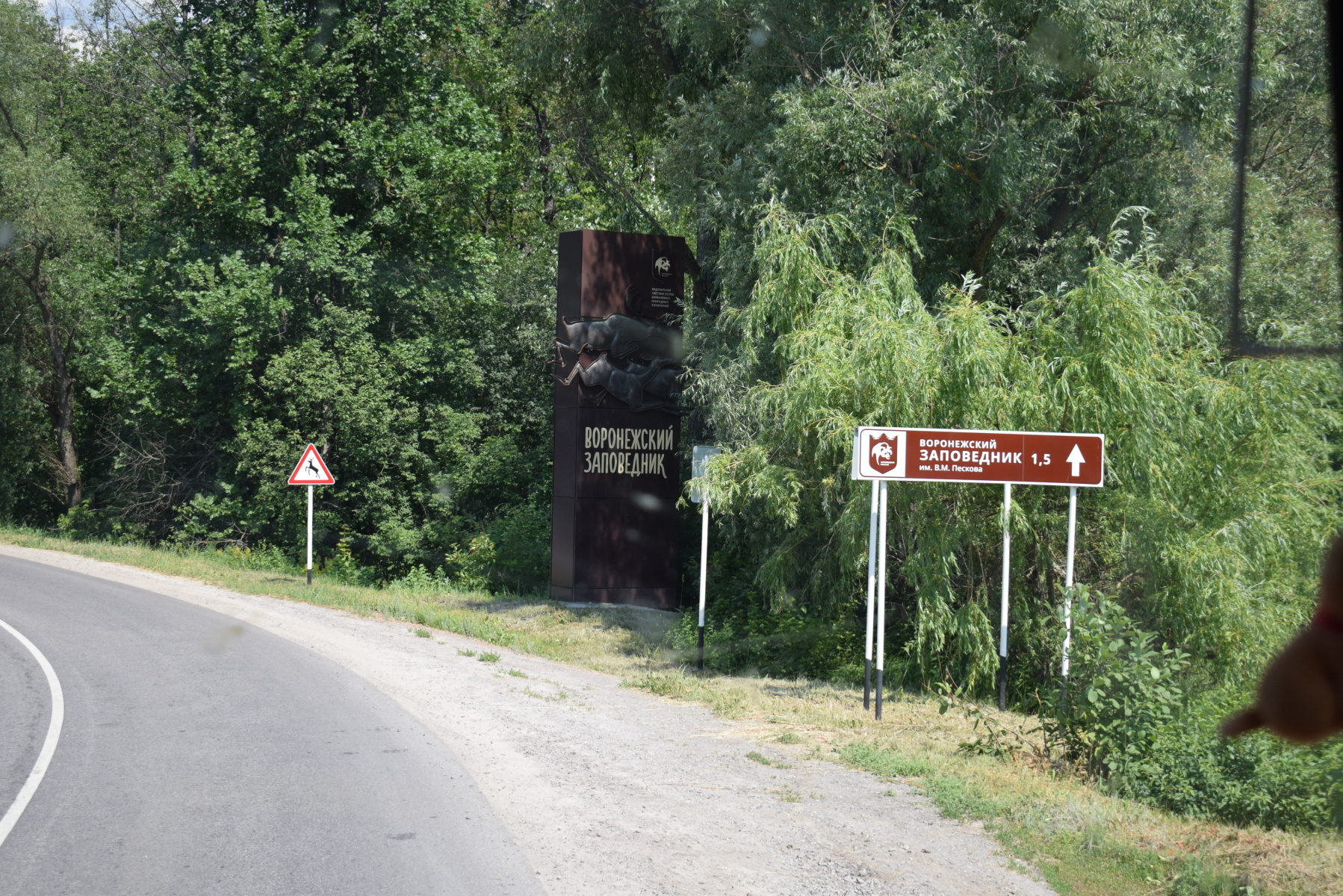 В гостях у Воронежского заповедника» побывали активисты Молодежного клуба  РГО | Молодежный клуб