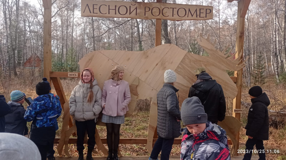 лесной ростомер